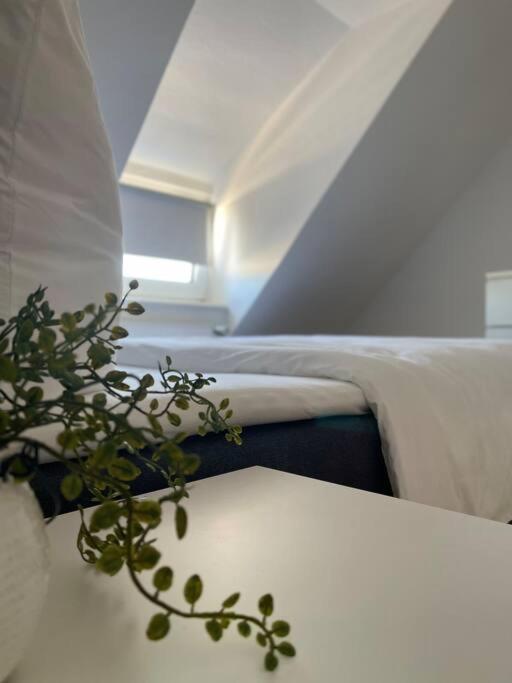 Gemuetliche, Helle Wohnung In Paderborn Buitenkant foto